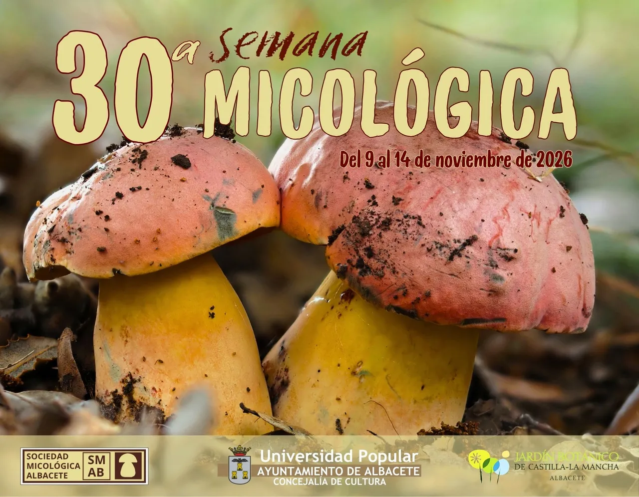 Cartel de Hongos funcionales y sus aplicaciones en bienestar. Estrés, neuro protección y metabolismo energético